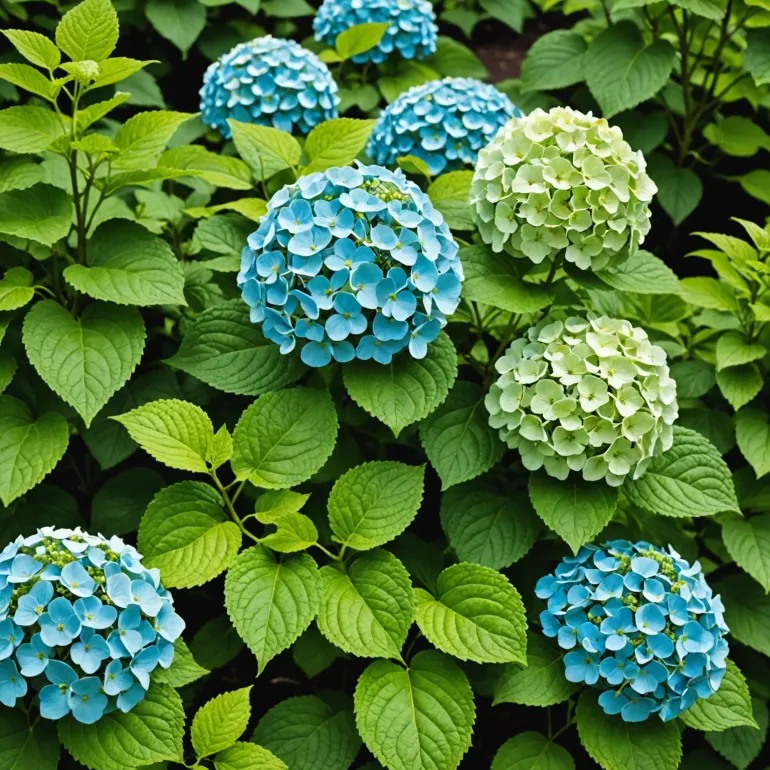 Полное руководство по гортензия мохито: отзывы от экспертов